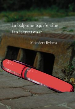 In balpinne tsjin 'e râne fan it trottwaar, Meindert Bylsma