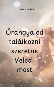 Őrangyalod szeretne találkozni Veled most, Pallos Gábor