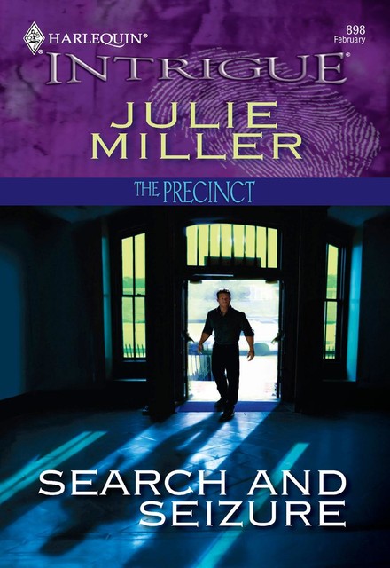 Search And Seizure, Julie Miller