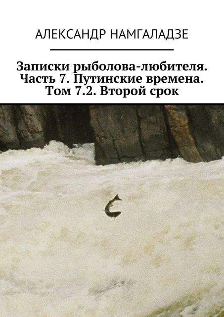 Записки рыболова-любителя. Часть 7. Путинские времена. Том 7.2. Второй срок, Александр Намгаладзе