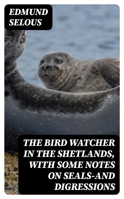 The Bird Watcher in the Shetlands, with Some Notes on Seals—and Digressions, Edmund Selous