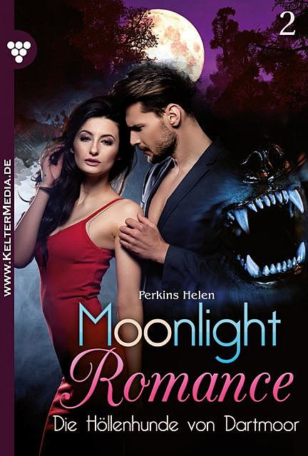 Moonlight Romance 2 – Romantic Thriller, Jeany Steiger
