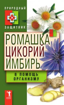 Ромашка, цикорий, имбирь в помощь организму, Юлия Николаева