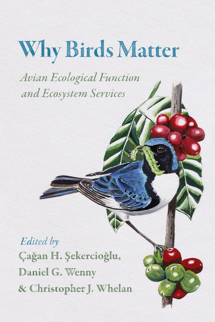 Why Birds Matter, Christopher J. Whelan, Daniel G. Wenny, Çağan H. Şekercioğlu