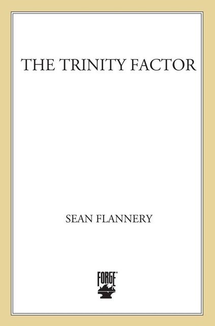 Trinity Factor, Sean Flannery