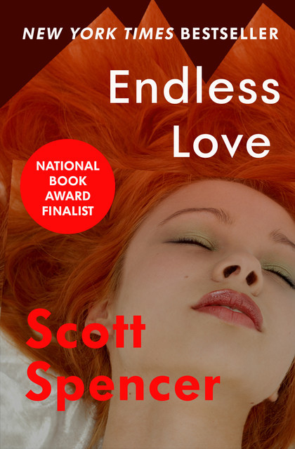 Endless Love, Scott Spencer
