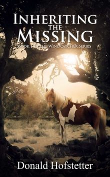 Inheriting the Missing, Donald Hofstetter