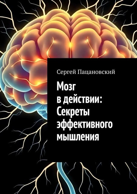 Мозг в действии: Секреты эффективного мышления, Сергей Пацановский