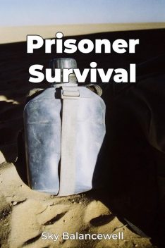 Prisoner Survival, Sky Balancewell