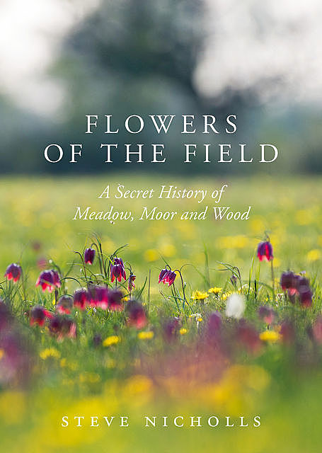 Flowers of the Field, Steve Nicholls