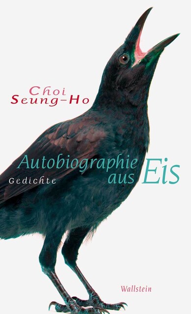Autobiographie aus Eis, Choi Seung-Ho