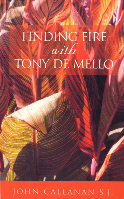 Finding Fire with Tony de Mello, John Callanan