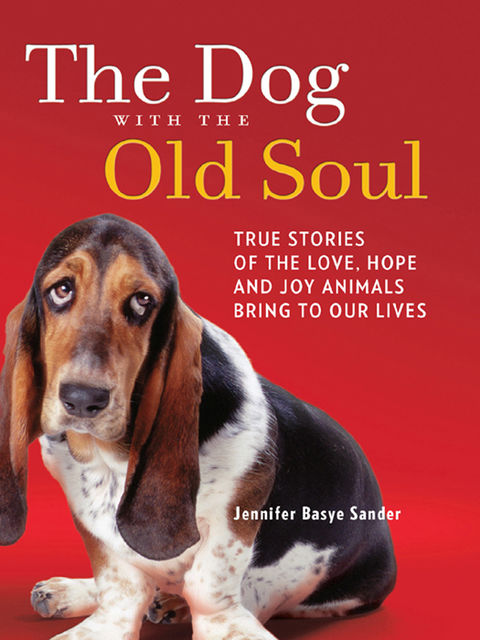 The Dog with the Old Soul, Jennifer Sander