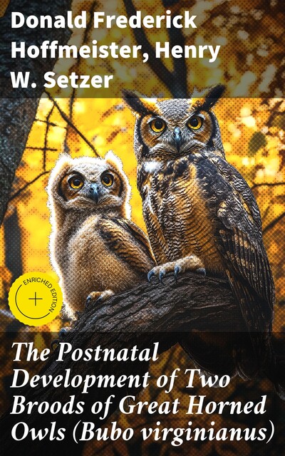 The Postnatal Development of Two Broods of Great Horned Owls (Bubo virginianus), Donald Frederick Hoffmeister, Henry W. Setzer