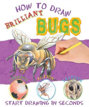 How to Draw Bugs, Miles Kelly