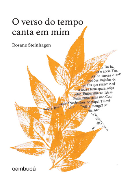 O verso do tempo canta em mim, Rosane Steinhagen