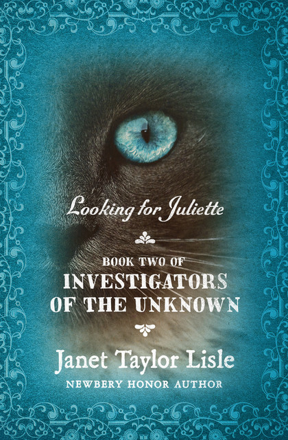 Looking for Juliette, Janet Taylor Lisle
