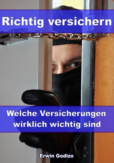 Richtig versichern - Welche Versicherungen wirklich wichtig sind, Erwin Godizo