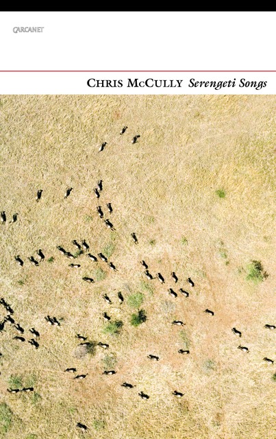 Serengeti Songs, Chris McCully