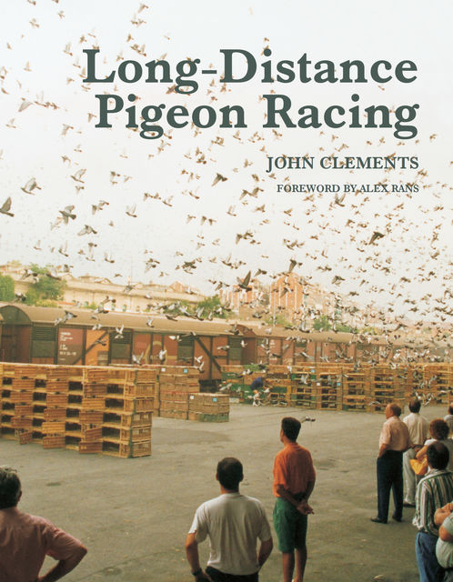 Long-Distance Pigeon Racing, John Clements