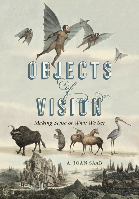 Objects of Vision, A. Joan Saab