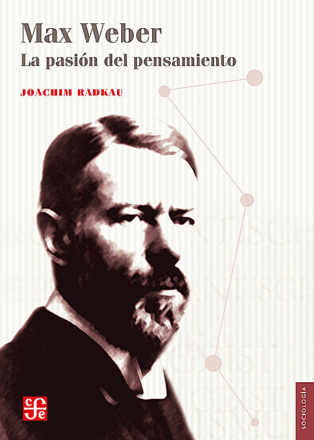 Max Weber, Joachim Radkau