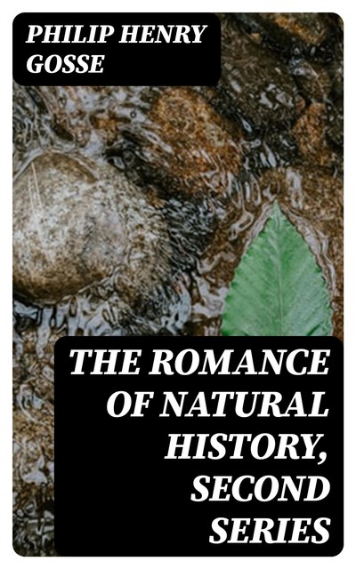 The Romance of Natural History, Second Series, Philip Henry Gosse