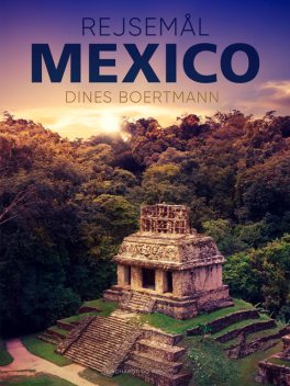 Rejsemål Mexico, Dines Boertmann