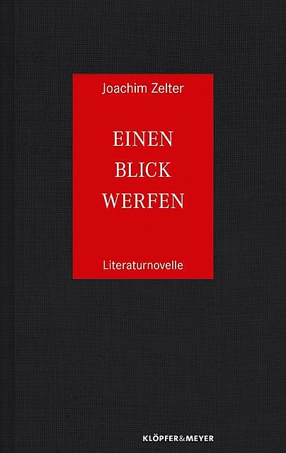 Einen Blick werfen, Joachim Zelter