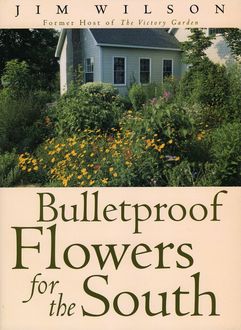 Bulletproof Flowers for the South, Jim Wilson