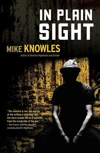 In Plain Sight, Mike Knowles