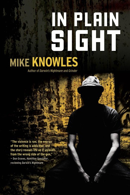 In Plain Sight, Mike Knowles