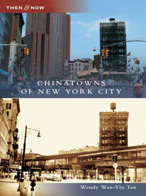 Chinatowns of New York City, Wendy Wan-Yin Tan