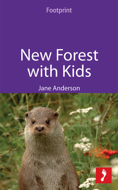 New Forest with Kids, Jane Anderson