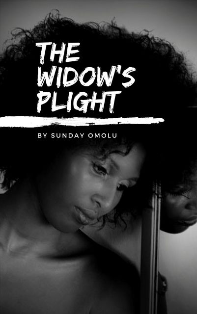 The Widow's Plight, Sunday Omolu