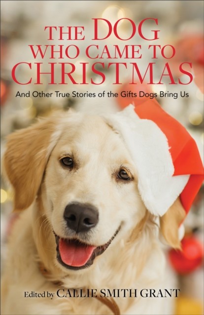 Dog Who Came to Christmas, ed., Callie Smith Grant