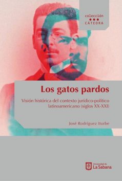 Los gatos pardos, José Rodríguez Iturbe