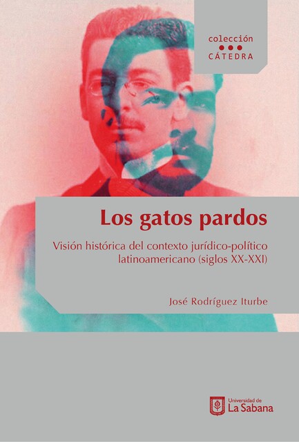 Los gatos pardos, José Rodríguez Iturbe