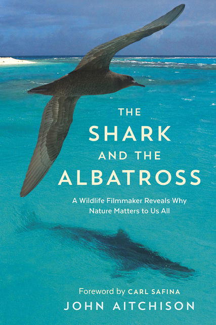 The Shark and the Albatross, John Aitchison