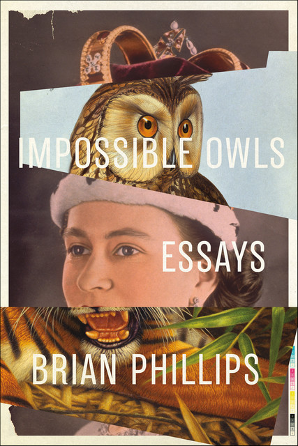 Impossible Owls, Brian Phillips