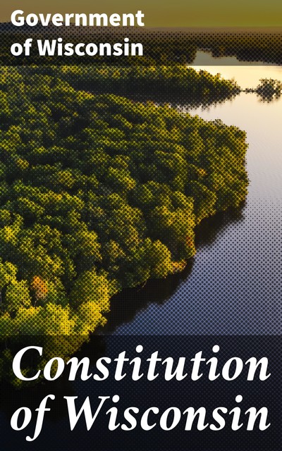 Constitution of Wisconsin, Government of Wisconsin