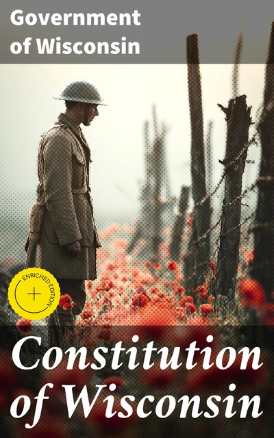 Constitution of Wisconsin, Government of Wisconsin