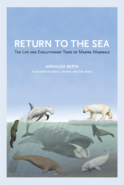 Return to the Sea, Annalisa Berta