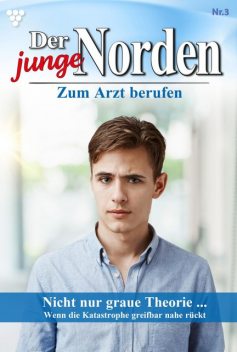 Der junge Norden 3 – Arztroman, Carolin Grahl