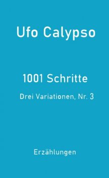 1001 Schritte – Drei Variationen, Nr. 3, Ufo Calypso