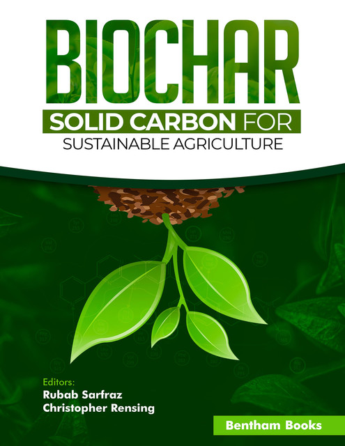 Biochar – Solid Carbon for Sustainable Agriculture, Christopher Rensing