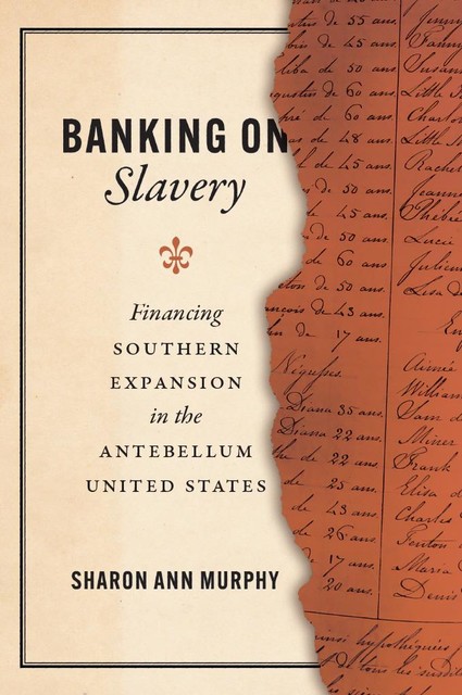 Banking on Slavery, Sharon Ann