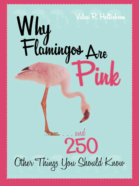 Why Flamingos Are Pink, Valeri R. Helterbran