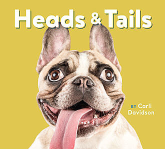 Heads & Tails, Carli Davidson