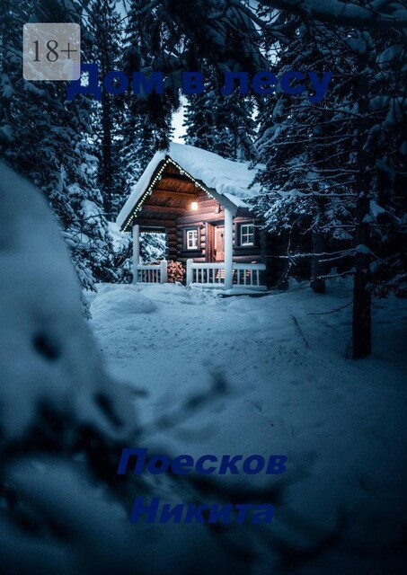 Дом в лесу, Никита Поесков